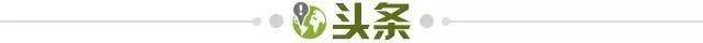 开云-【早报】活久见！塞内加尔被剥夺非洲杯冠军！